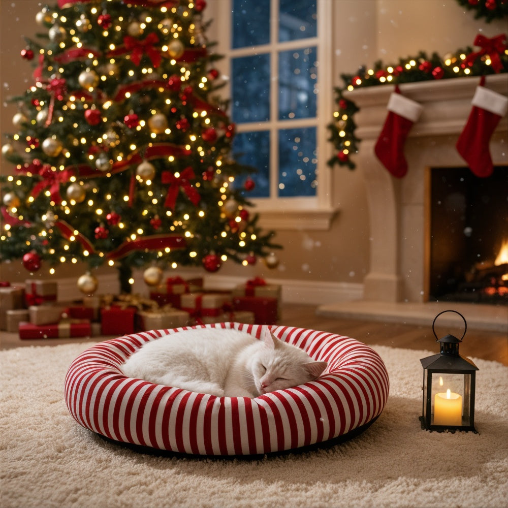 Noël & Idées Cadeaux