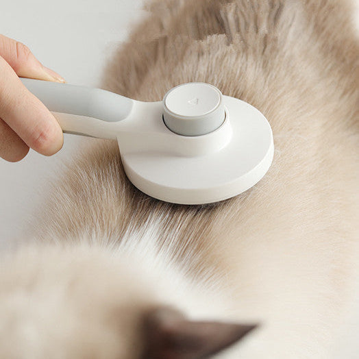 Peigne Autonettoyant à Poignée Ronde