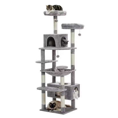 Arbre à chat d’intérieur multi-niveaux