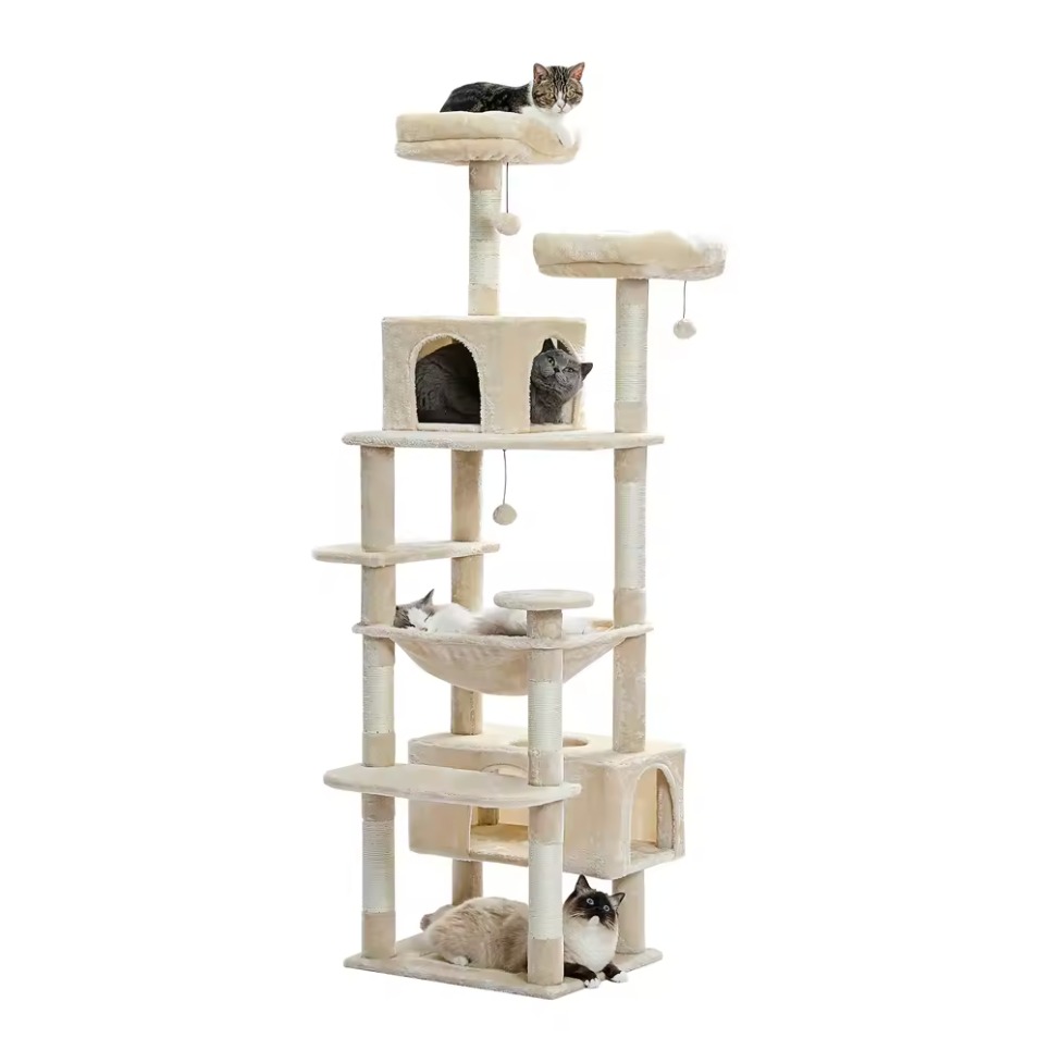 Arbre à chat d’intérieur multi-niveaux