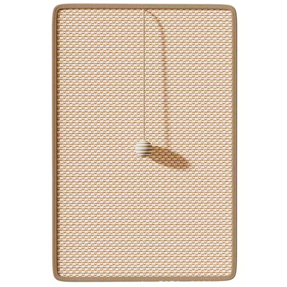 Griffoirs sisal naturel